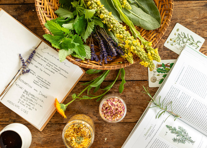 How to Become an Herbalist