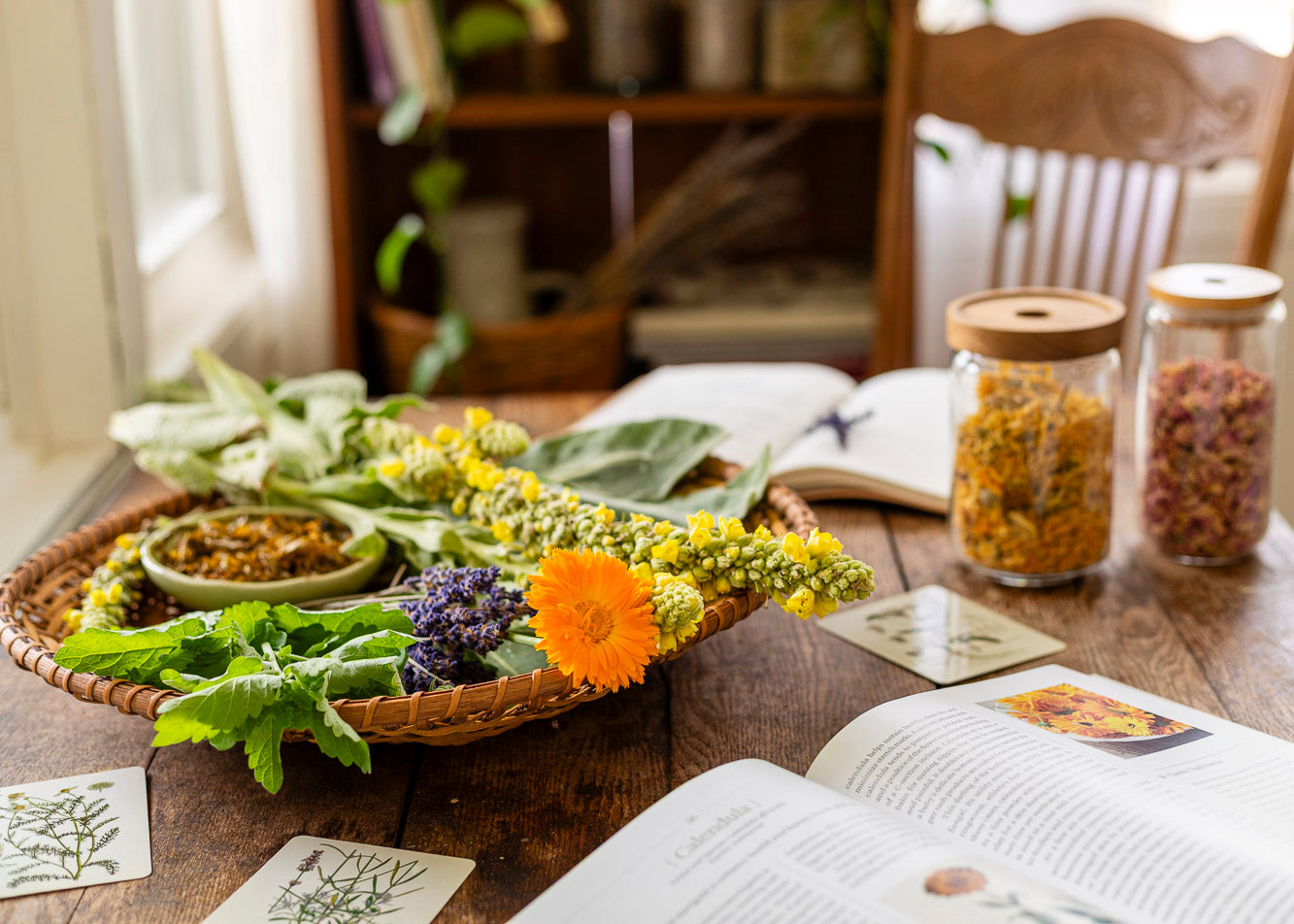 12 Beginner's Herbs for Your Home Apothecary