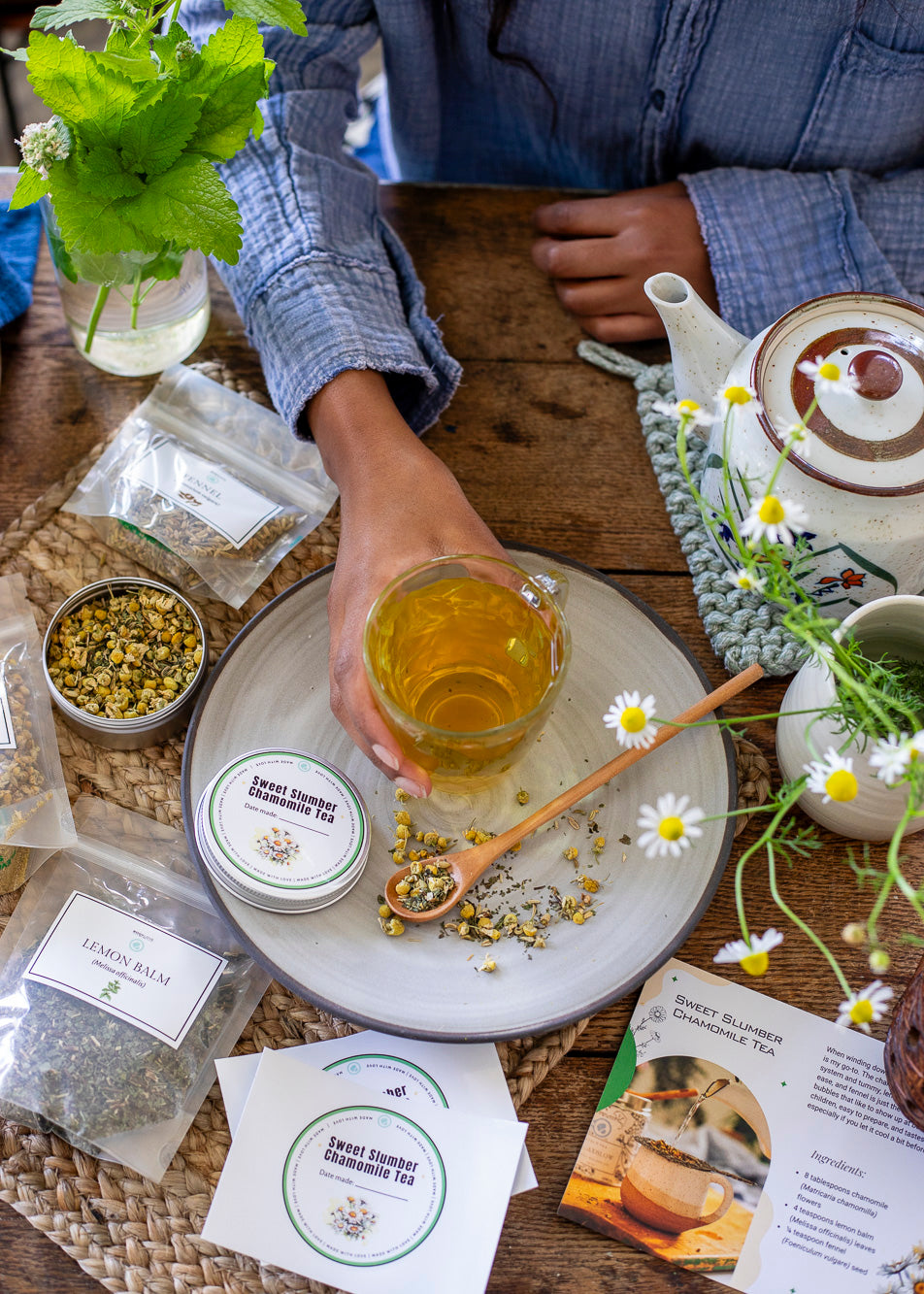 Tal's Herbalism Ebook + DIY Herbal Wellness Kits