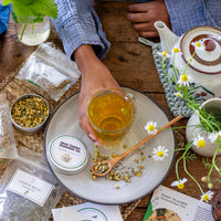 Tal's Herbalism Ebook + DIY Herbal Wellness Kits