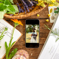 Tal's Herbalism Ebook + DIY Herbal Wellness Kits